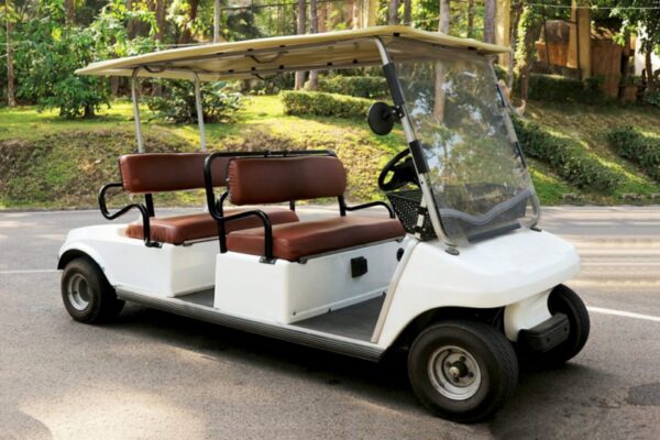 Reasons Why Your Electric Golf Cart May Not Start